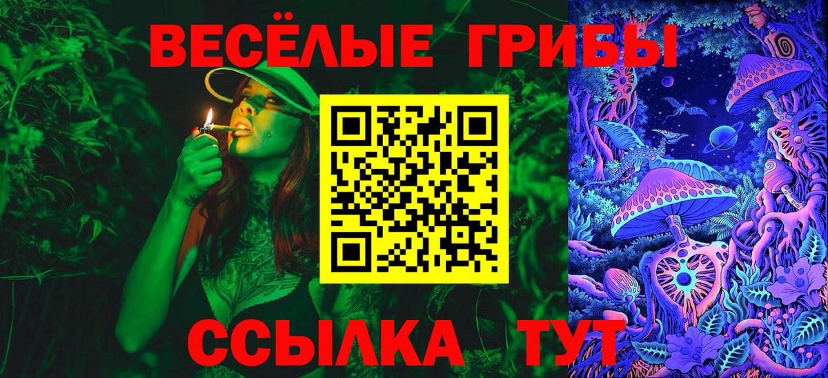 Галлюциногенные грибы мухоморы Шатура